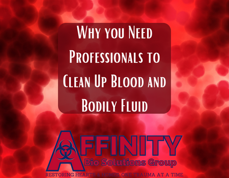 Why you Need Professionals to Clean Up Blood and Bodily Fluid